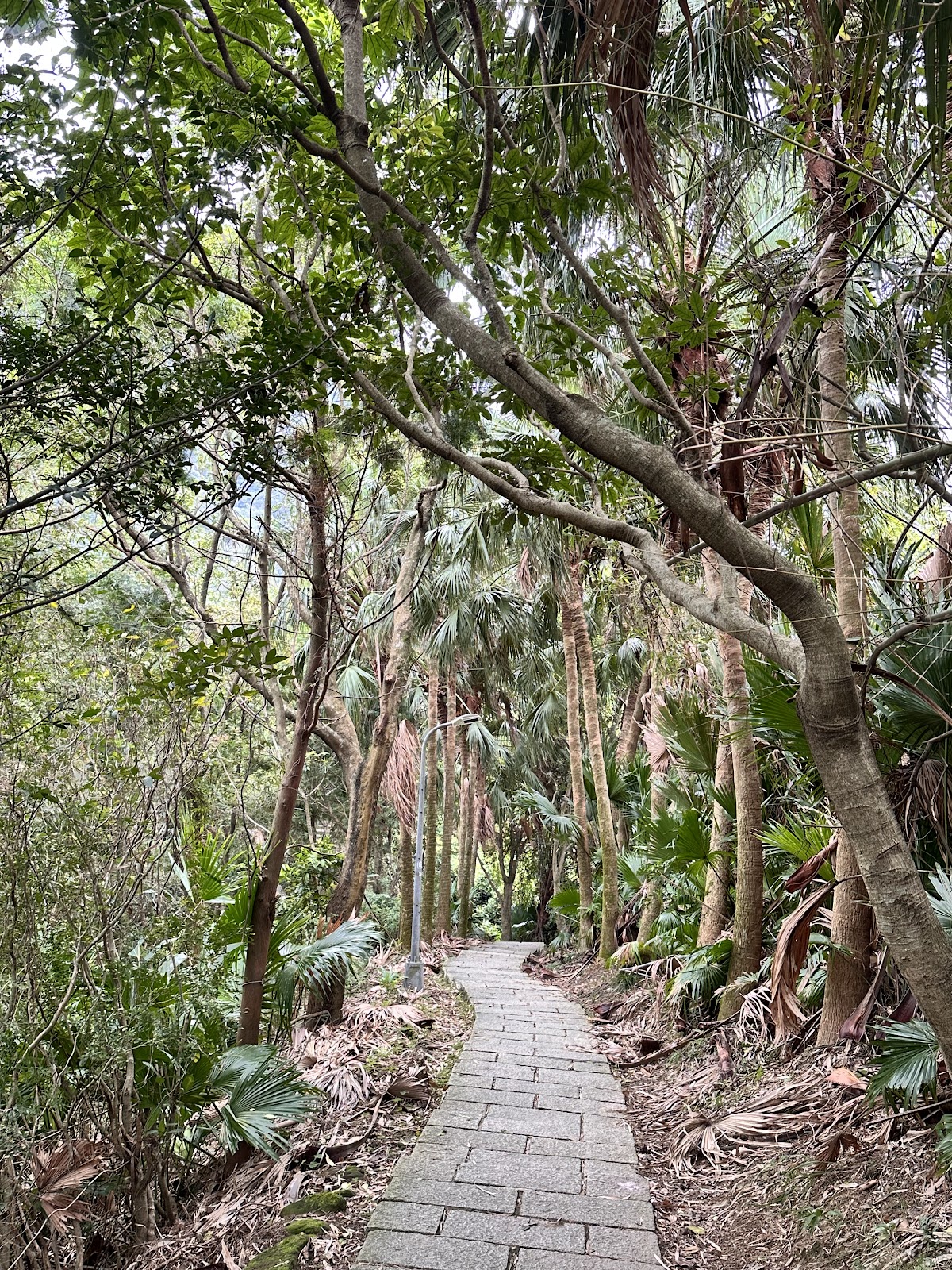 虎山峰 店內環境照片 3