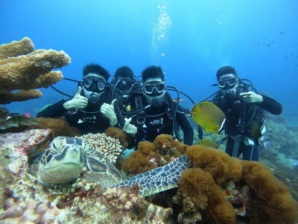 BLUE SAFARI DIVING CENTER 藍莎潛水中心（PADI五星級教練發展潛水中心） 店內環境照片 4