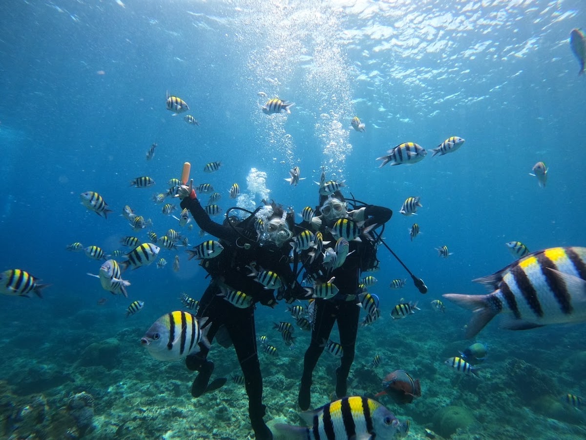 BLUE SAFARI DIVING CENTER 藍莎潛水中心（PADI五星級教練發展潛水中心） 店內環境照片 8