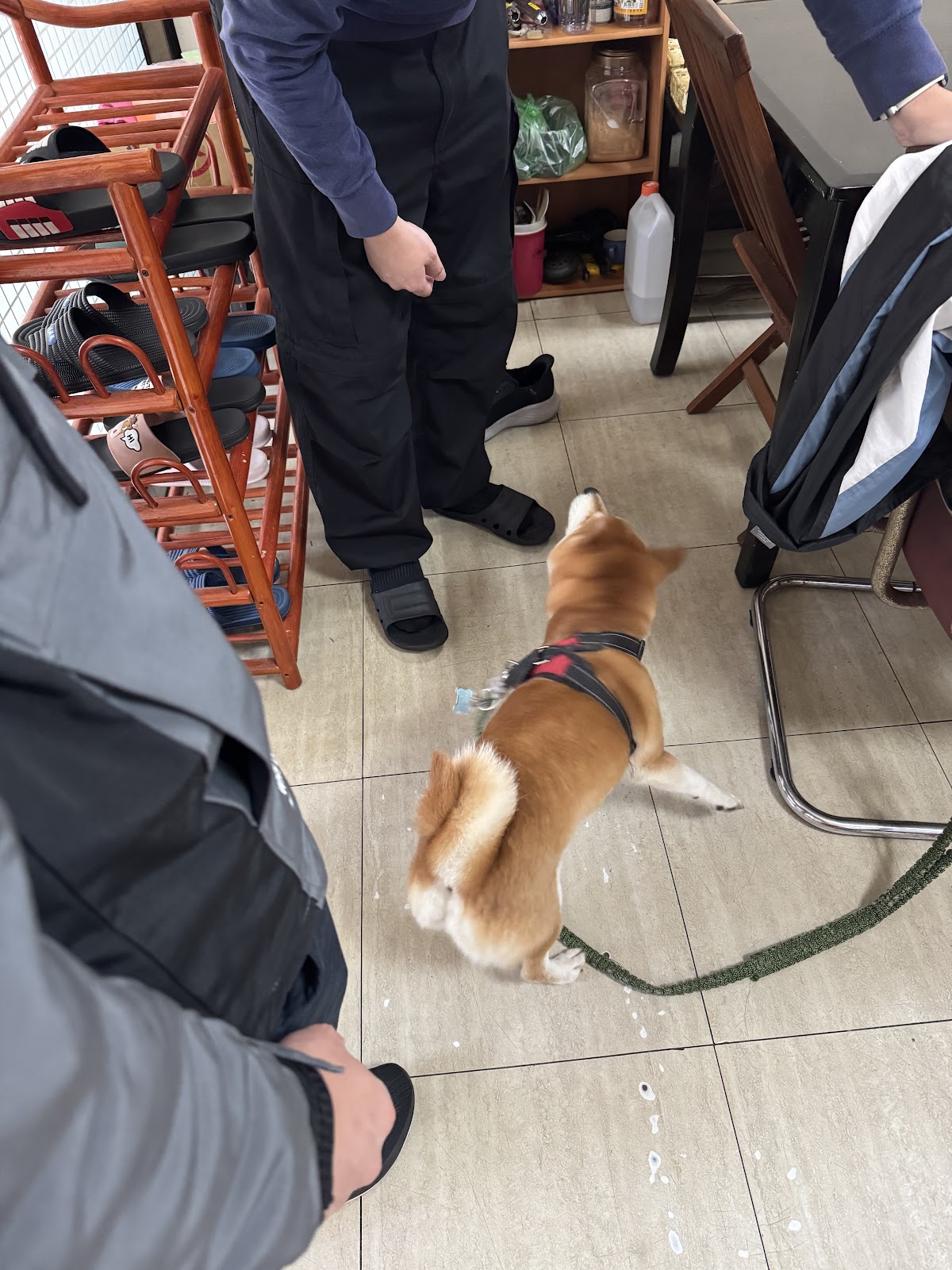 明仁堂傳統整復養生國術館 店內環境照片 4