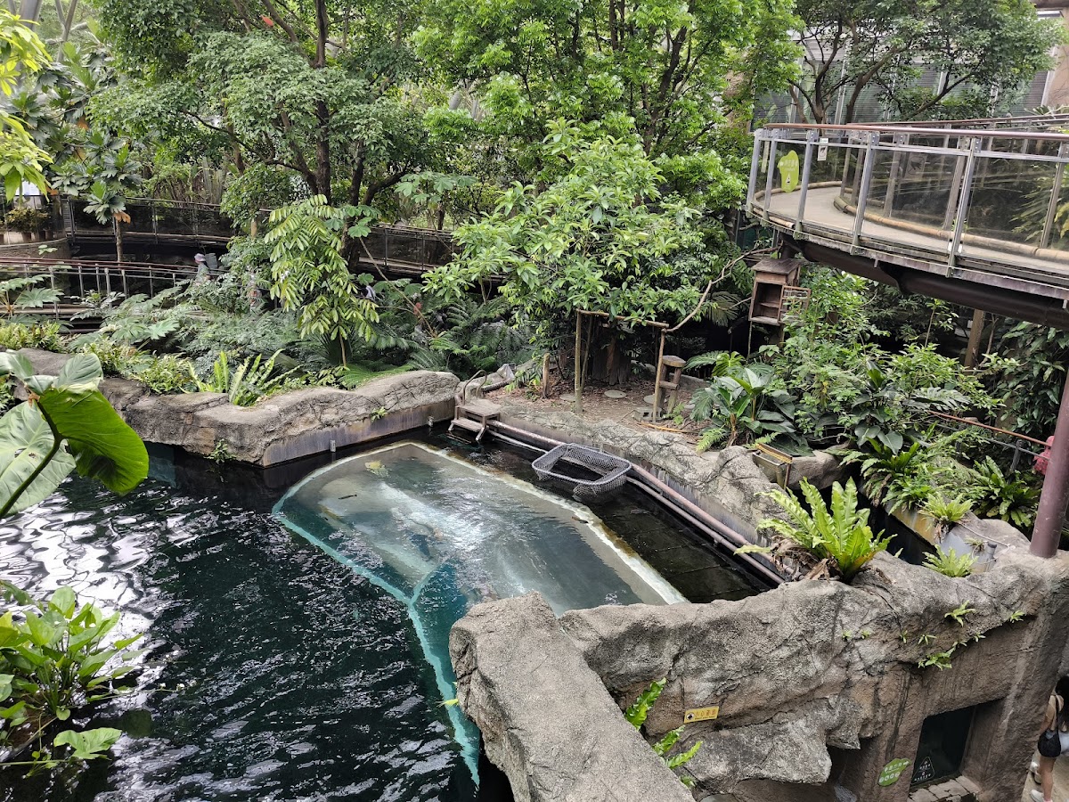 臺北市立動物園穿山甲館 店內環境照片 5
