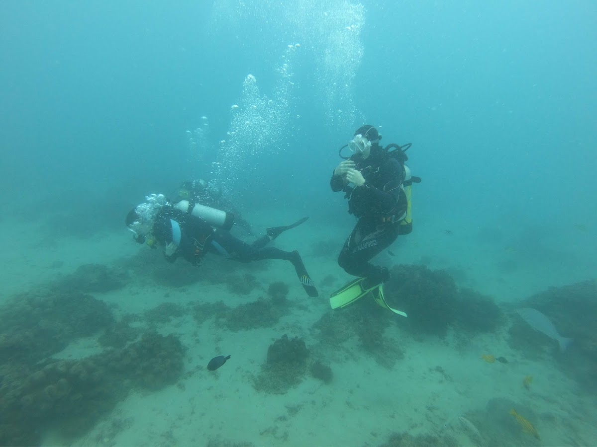 南青潛水 DivePro 店內環境照片 4