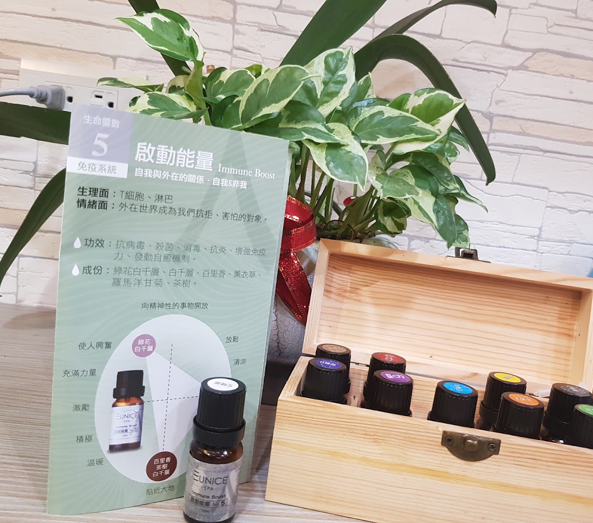 Eunice SPA三重天台館 店內環境照片 2