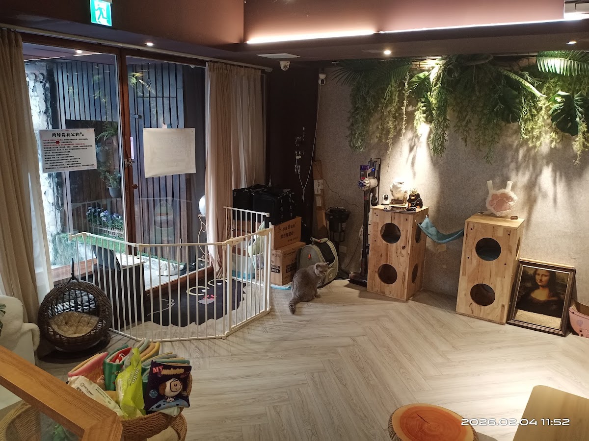 肉球森林 店內環境照片 5