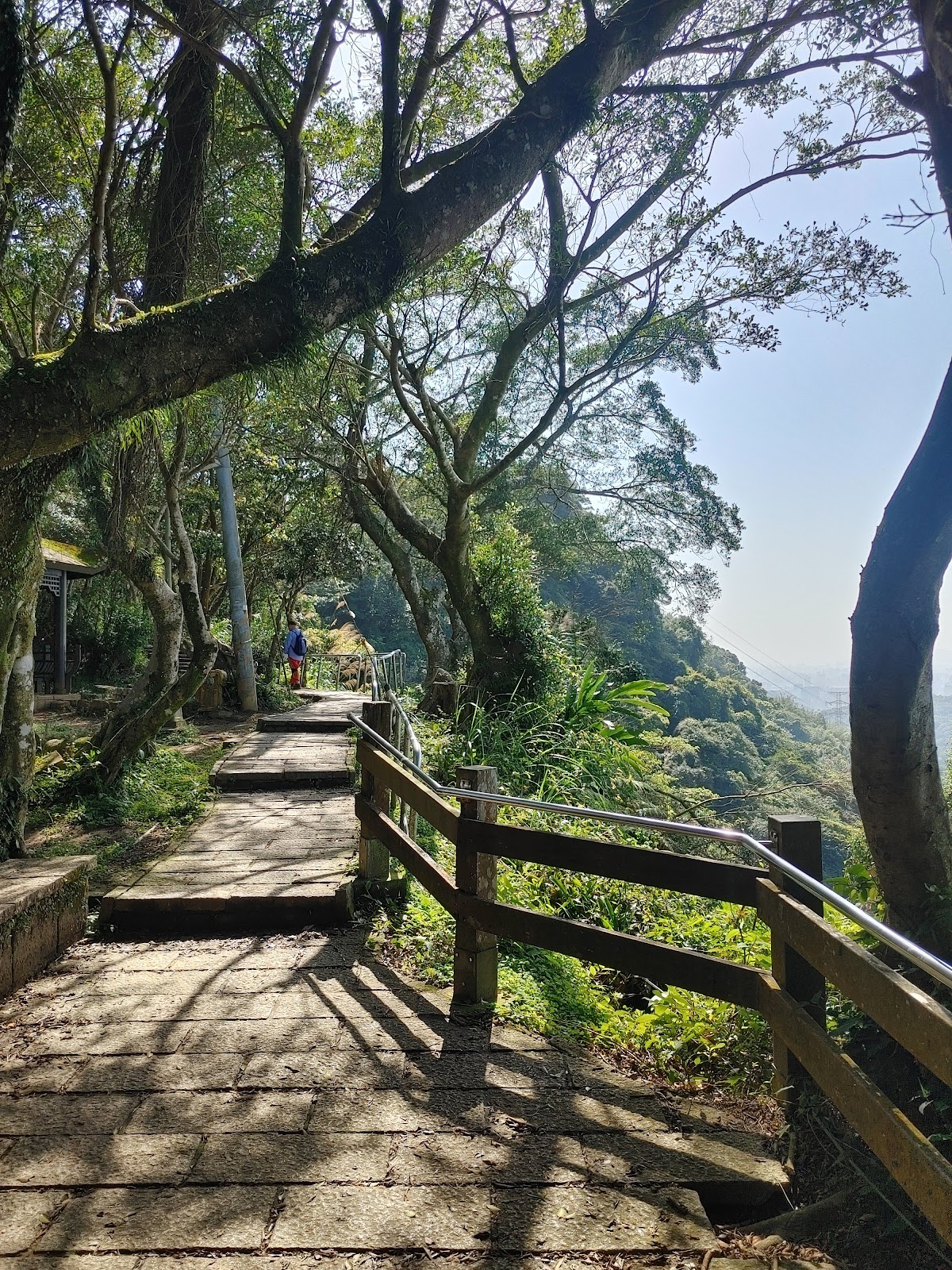 南港山親山步道 店內環境照片 3