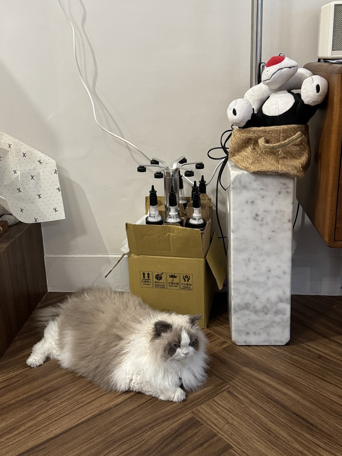 Olae lab × HWÀN 店內環境照片 3