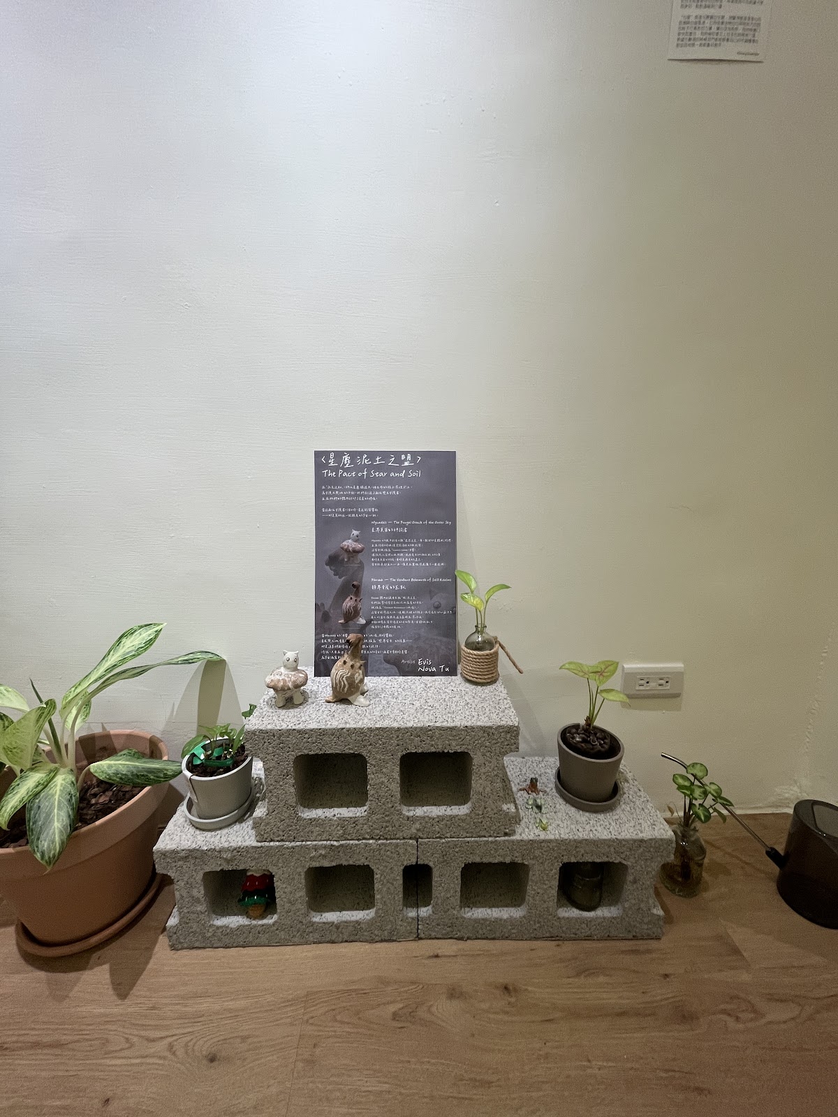 C'est La Vie 席拉比美學概念館 店內環境照片 8