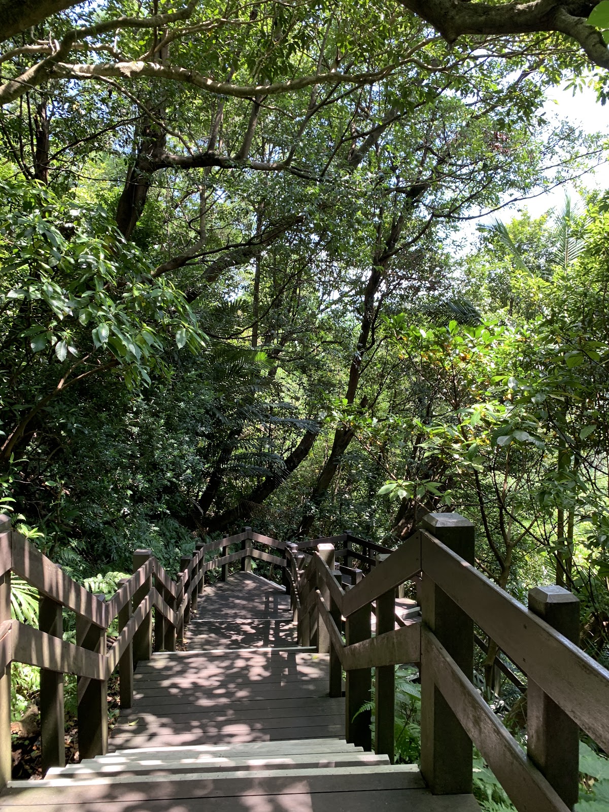 虎山親山步道 店內環境照片 4