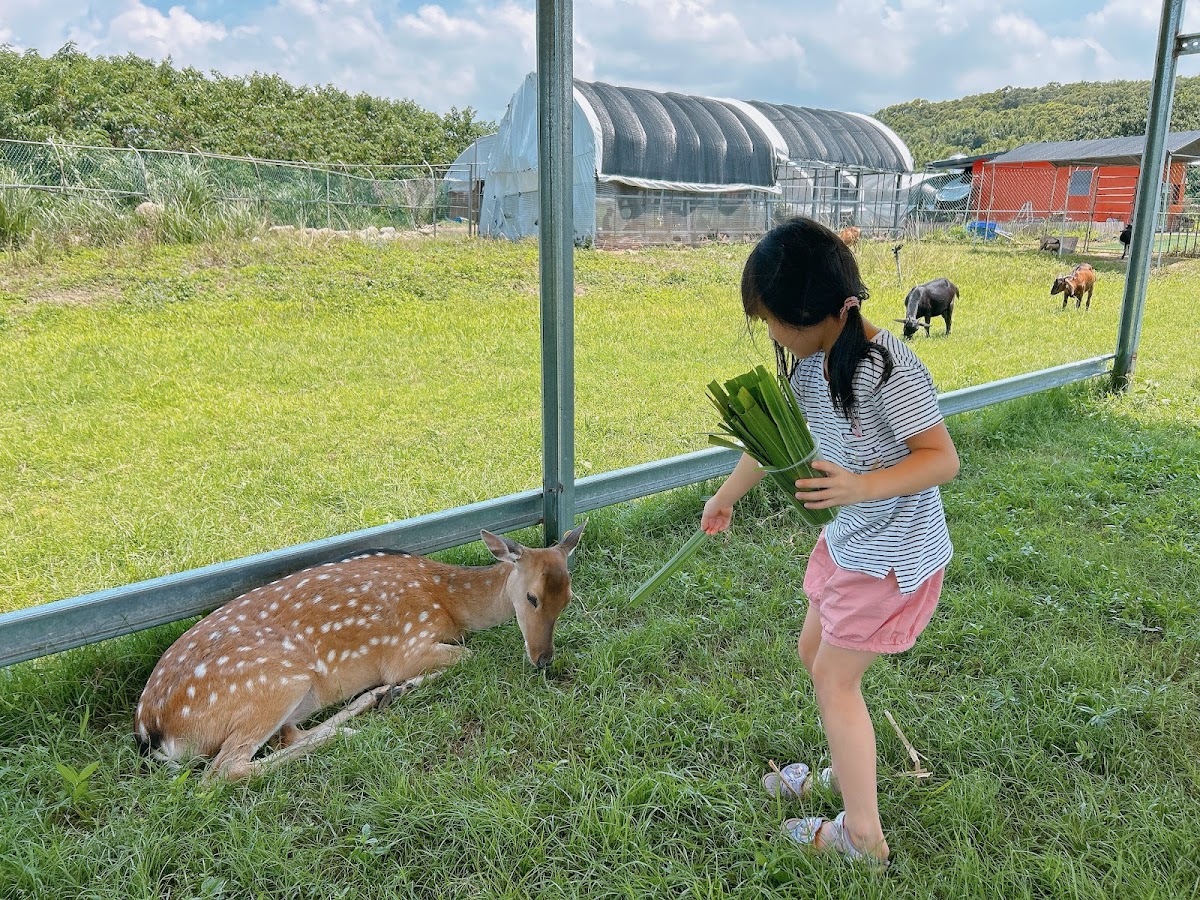 台北小奈良-淡水親子農場 梅花鹿 動物農場 淡水親子景點 淡水推薦景點 淡水觀光農場 好玩的親子景點 店內環境照片 4
