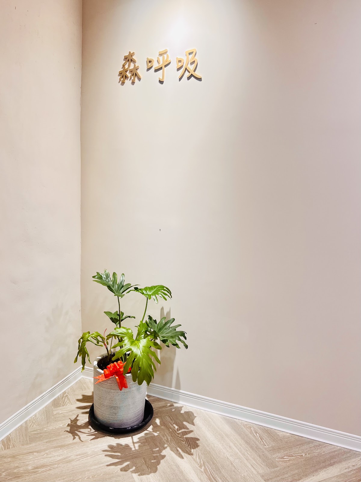 森呼吸男女SPA氧身會館 新北(頭部按摩/精油SPA/舒壓按摩) 板橋(頭部按摩/精油SPA/舒壓按摩) 店內環境照片 3