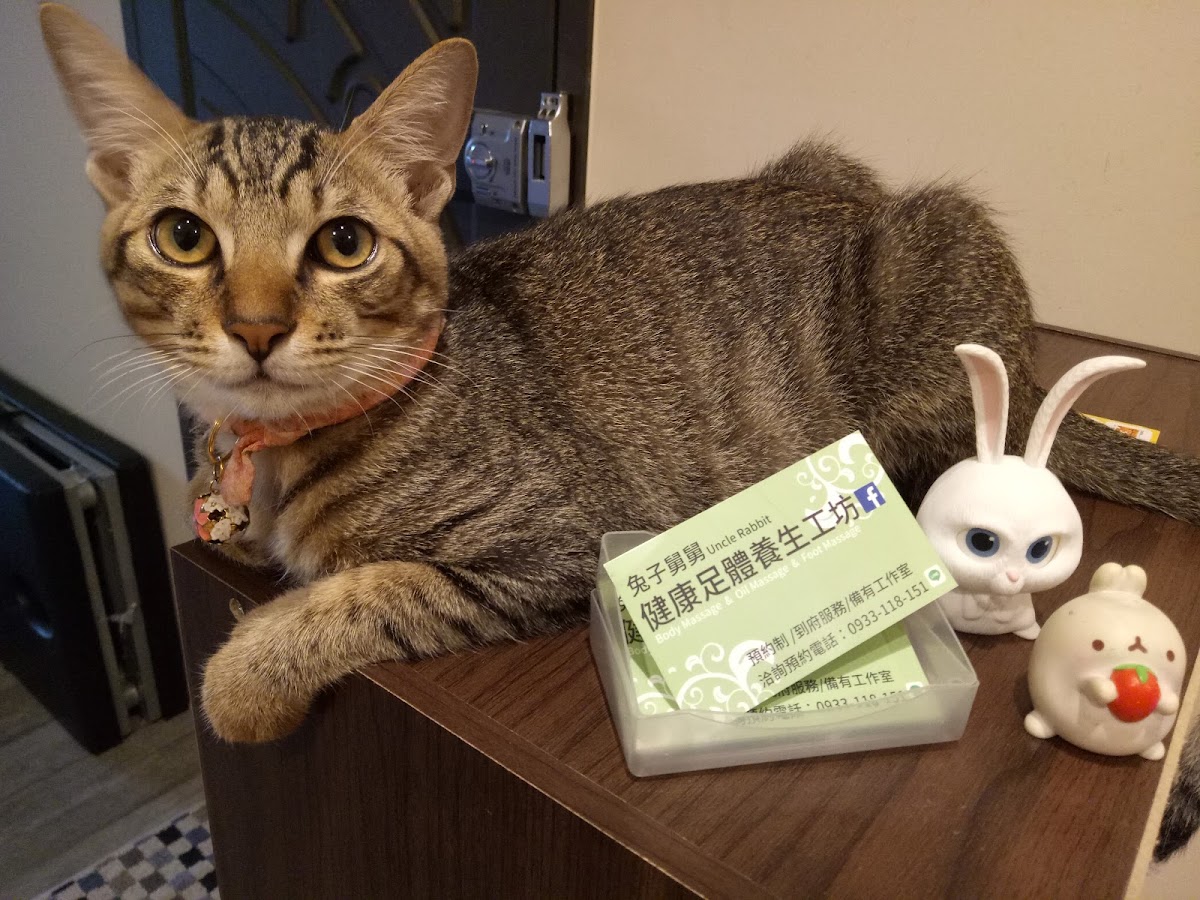 兔子舅舅健康足體養生工坊 店內環境照片 5