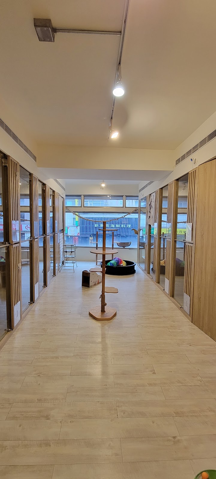 有毛公寓 店內環境照片 3