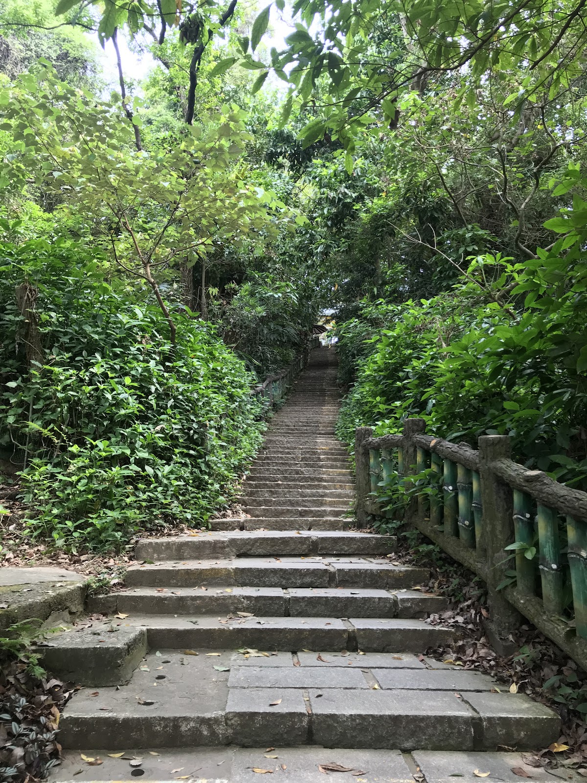 劍潭山親山步道 店內環境照片 6