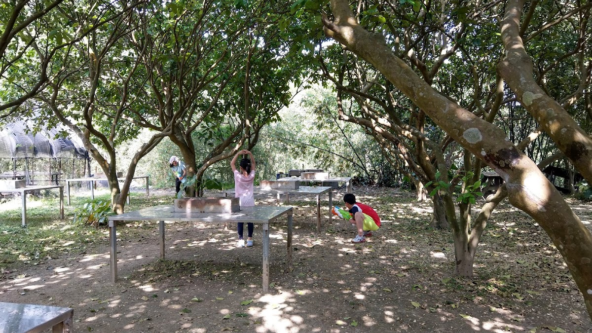 358漆彈中心 店內環境照片 5