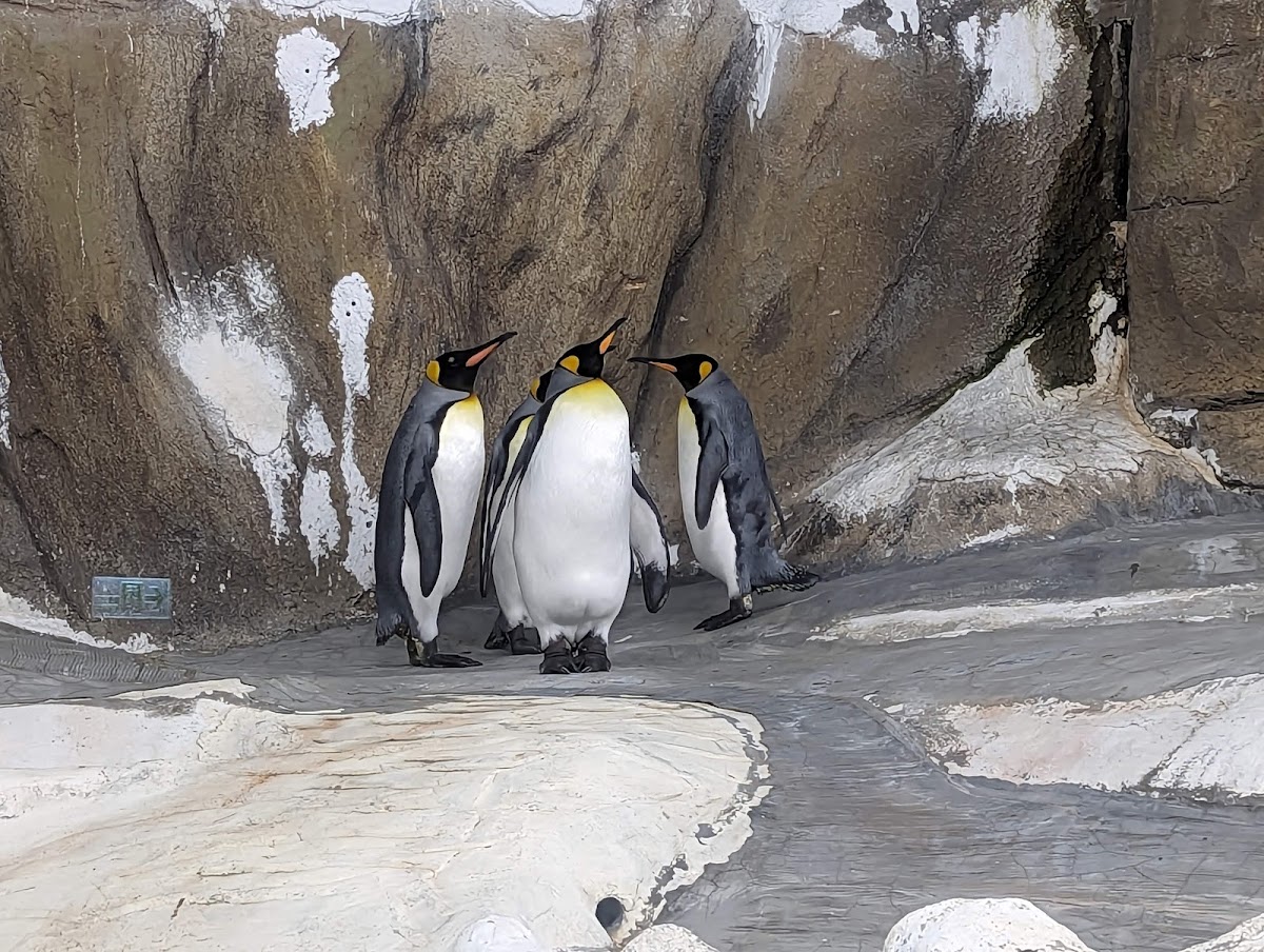 臺北市立動物園 店內環境照片 5