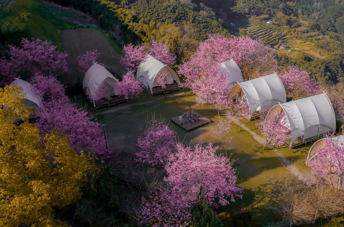 蟬說: 霧繞 Chanshuo Woorao glamping 店內環境照片 4