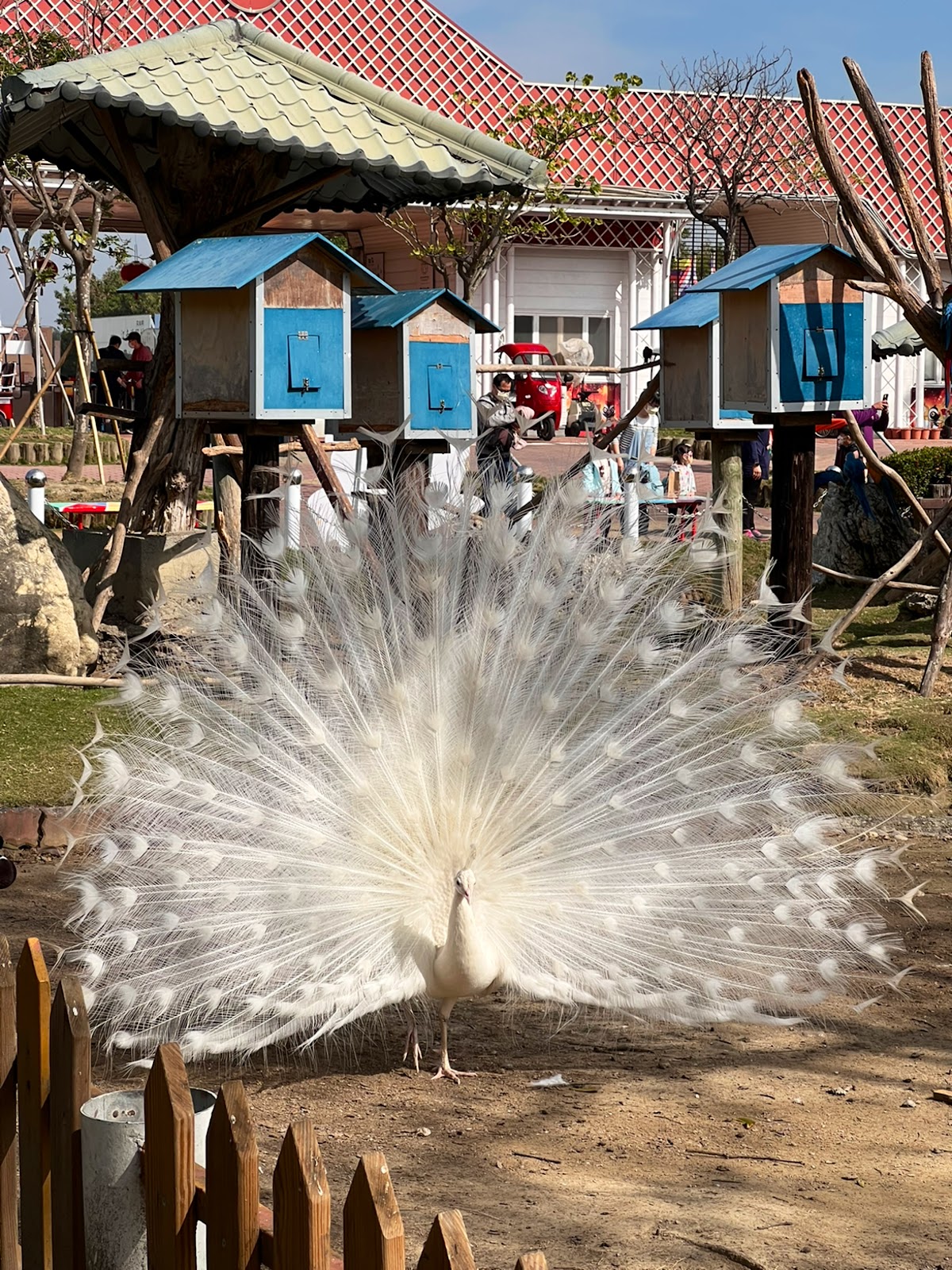 頑皮世界野生動物園 店內環境照片 4
