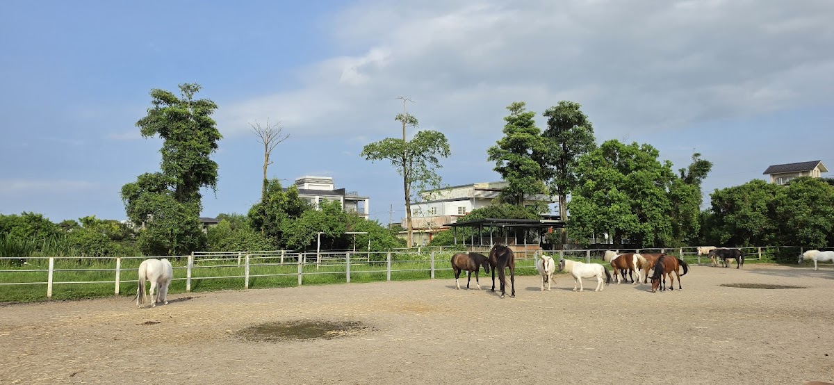 大洲馬場 店內環境照片 5
