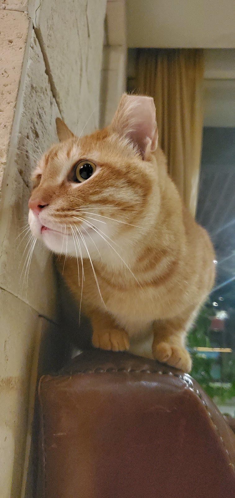 湖spa舒壓會館 店內環境照片 4
