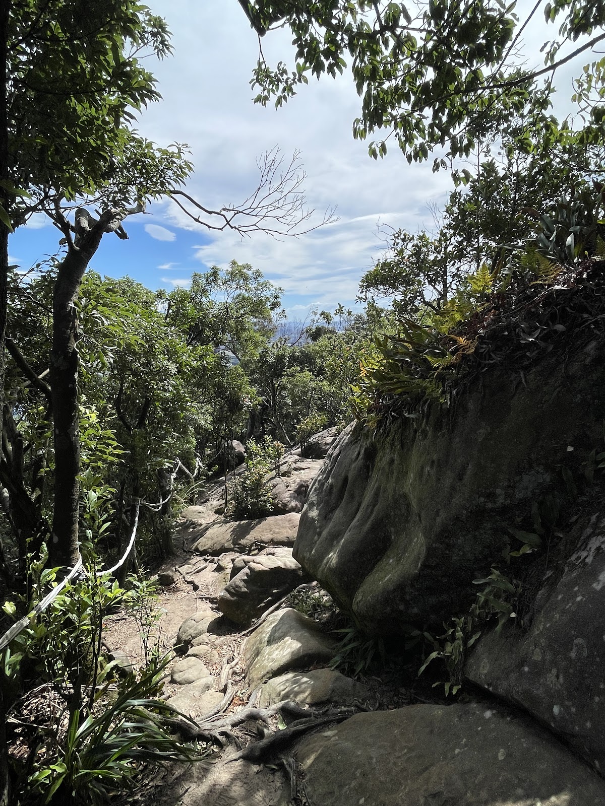 金面山步道 店內環境照片 2