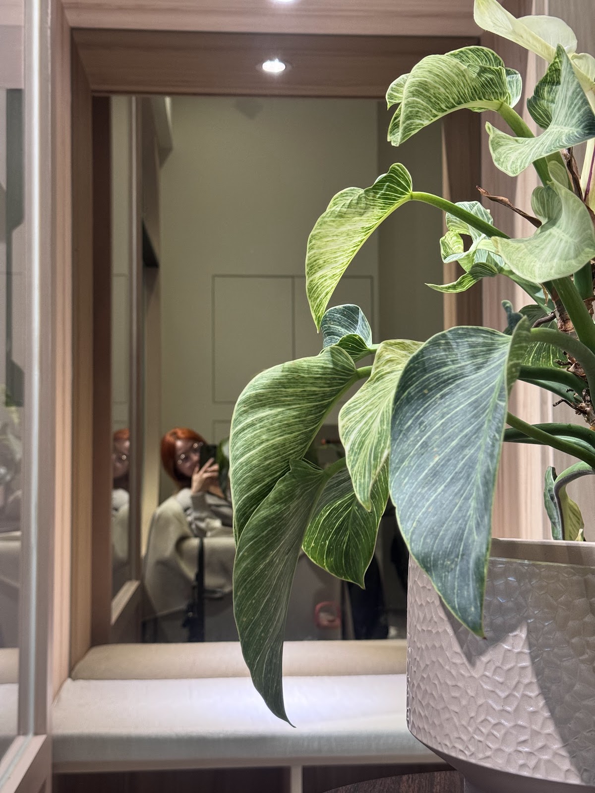 Anmo spa 2號店（旅順店） 店內環境照片 3