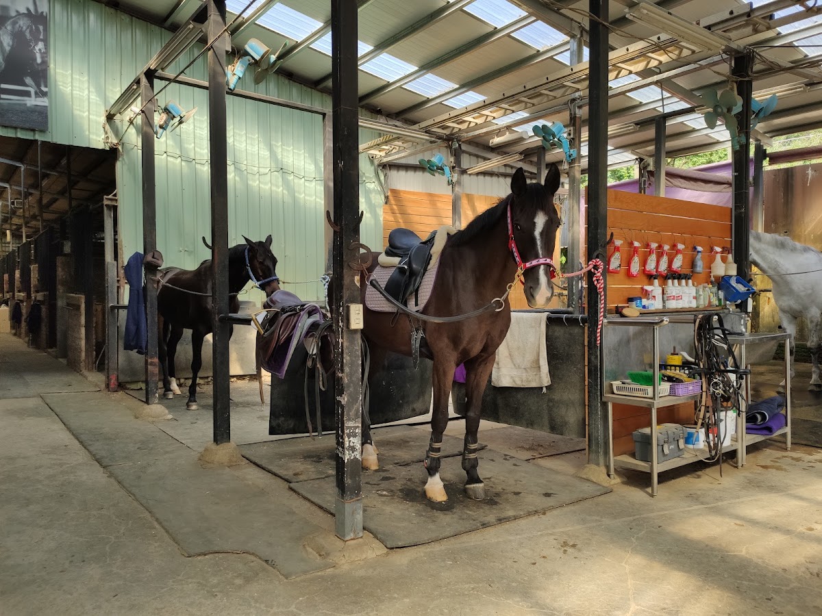 Magical Equestrian Center 店內環境照片 2